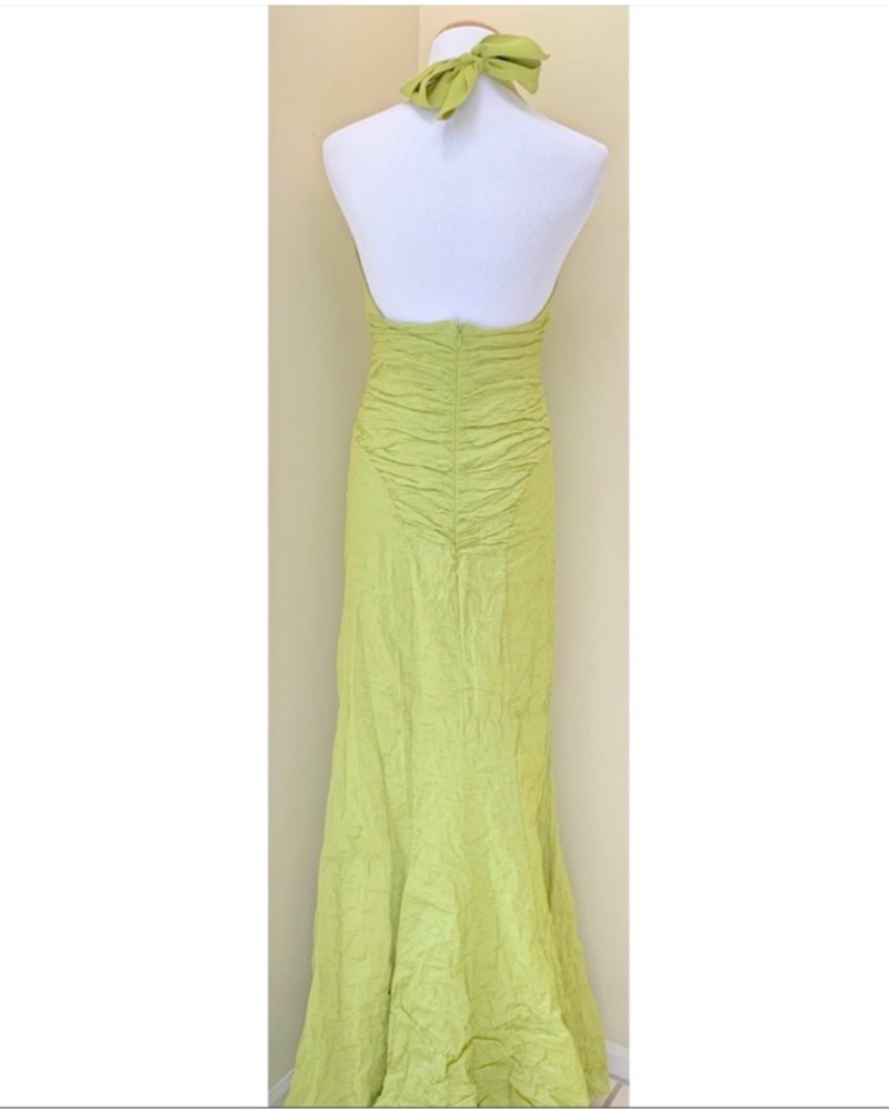 Nicole Miller Rushed Gown by Nicole Miller - Pickle