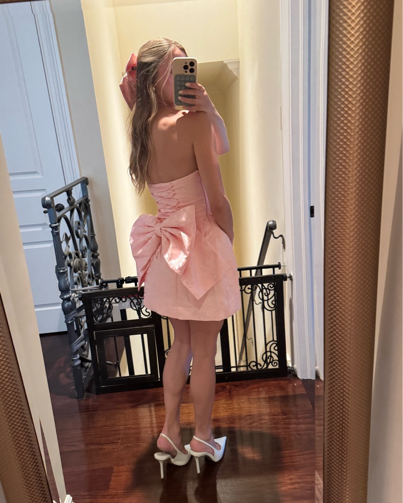 elenora mini dress Elenora Mini Dress