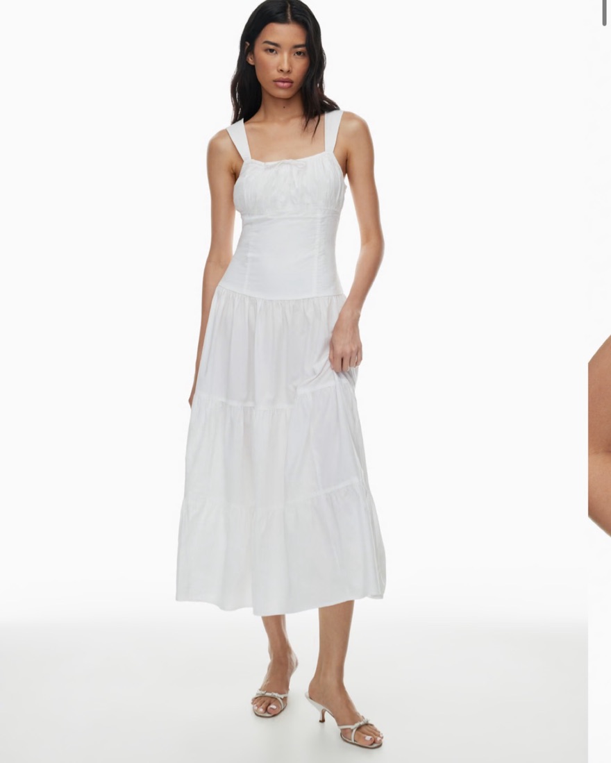Aritzia Maxi Dress - Image 1