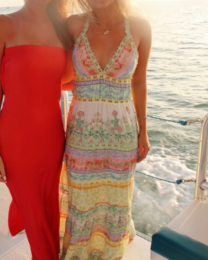 Alice & Olivia Long Dress - Image 1