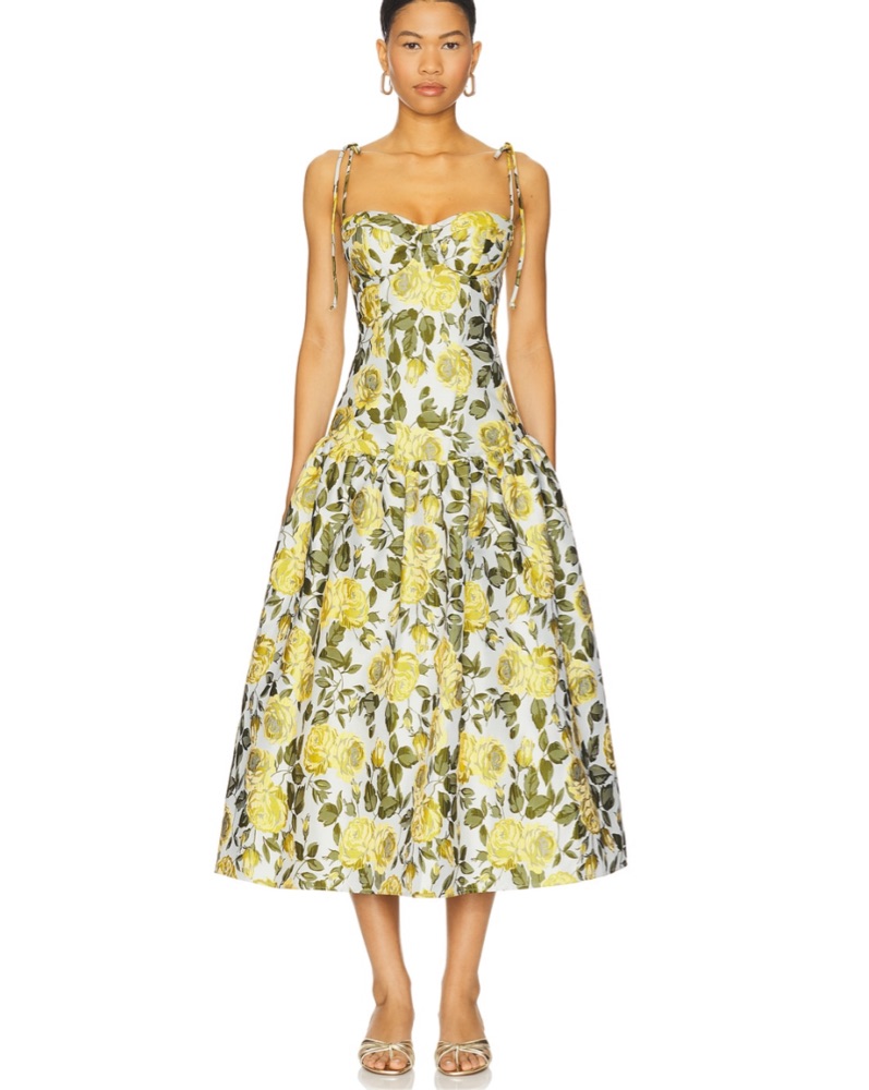 knee length dresses for ladies Katrina Butterfly Sleeve Midi Dress main image 1