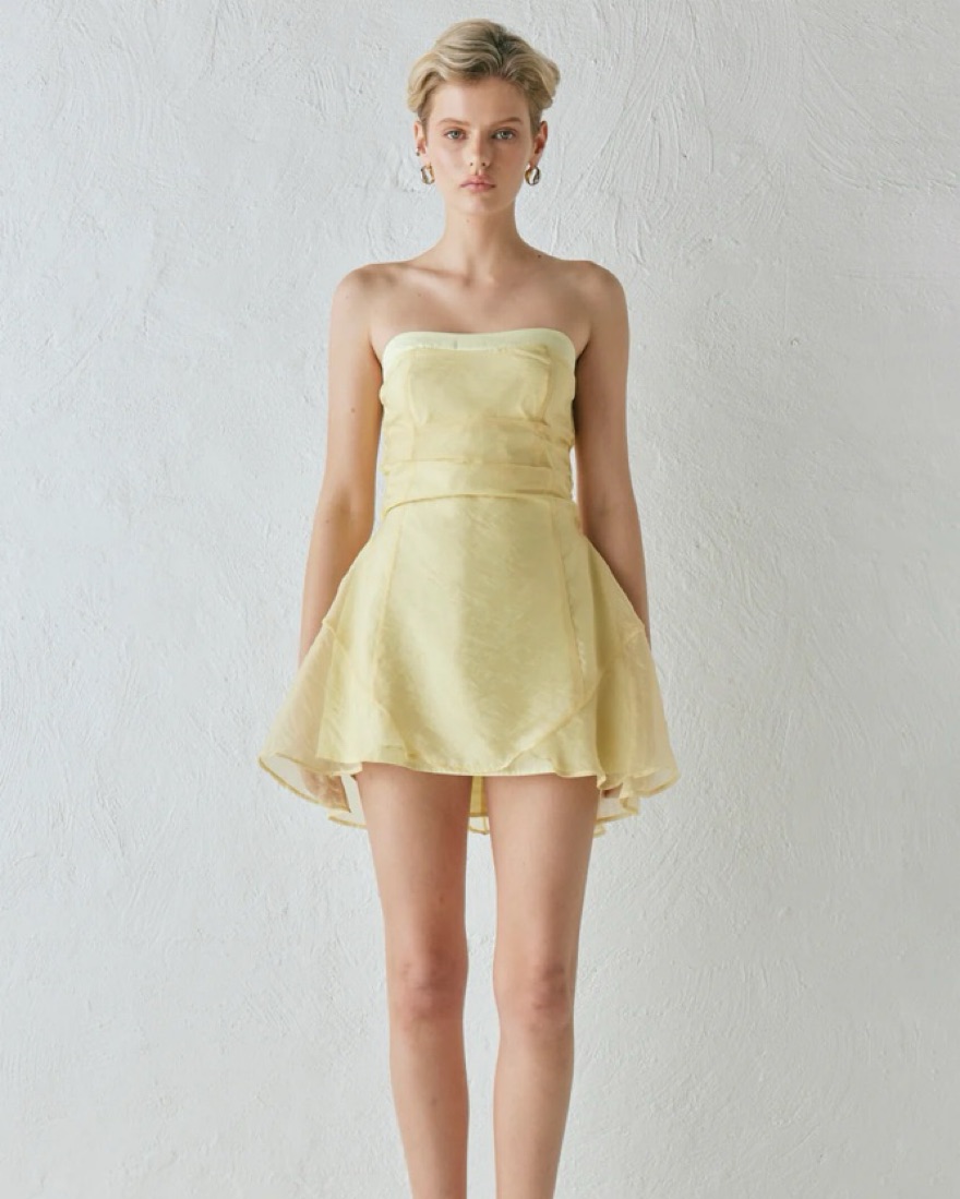 knee length dresses for ladies Paloma Mini Dress main image 1