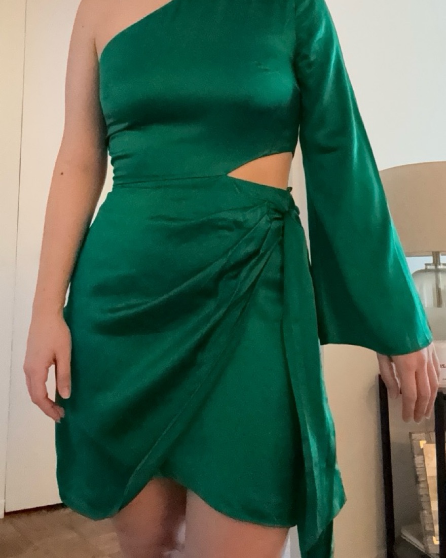 slim fit dress slacks Amanda Uprichard Anja Dress main image 0