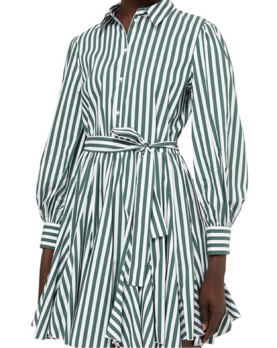 knee length dresses for ladies Stripe Collared Short Sleeve Mini Shirt Dress In Green – Infinity Raine main image 1
