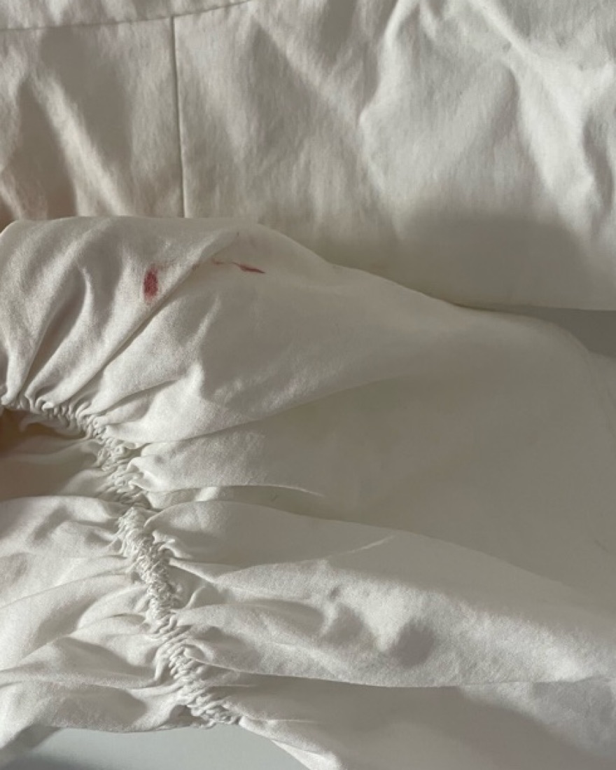 House Of CB Crop Corset Top - Image 6