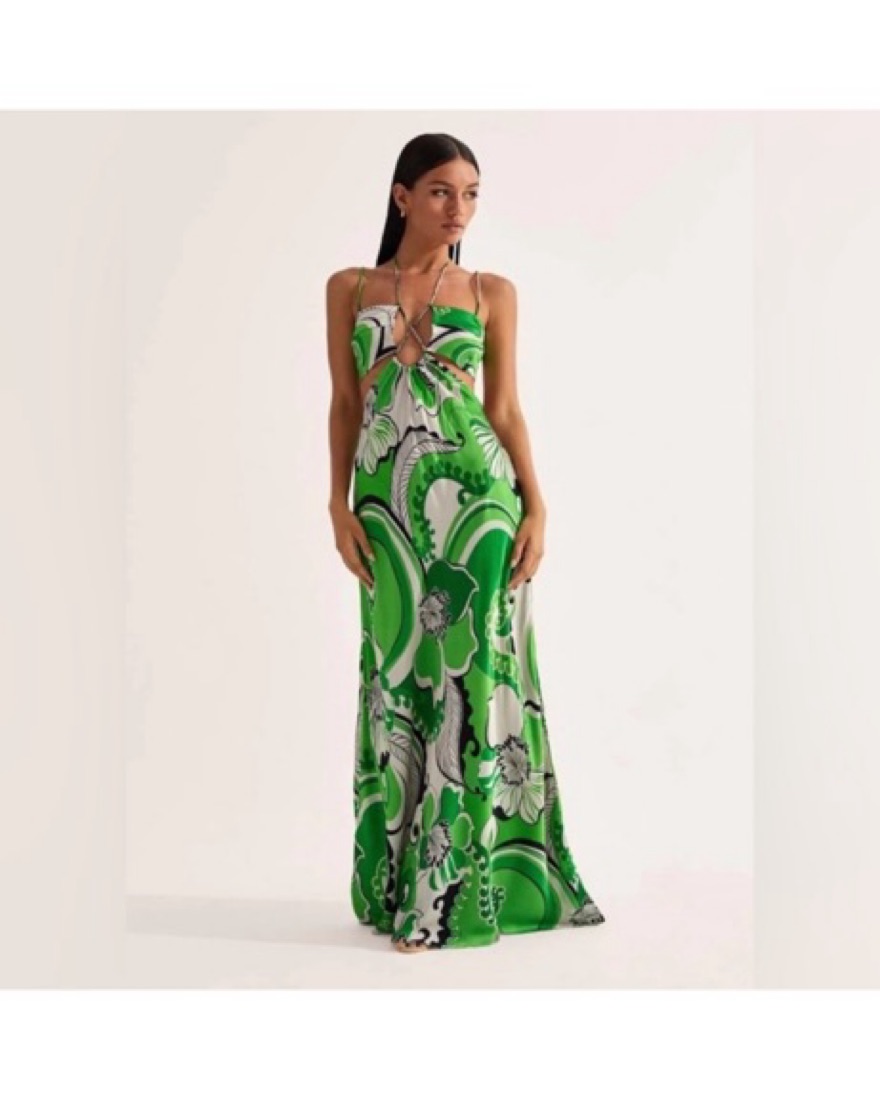 Cin Cin Green Fern Maxi Dress by Cin Cin - Pickle