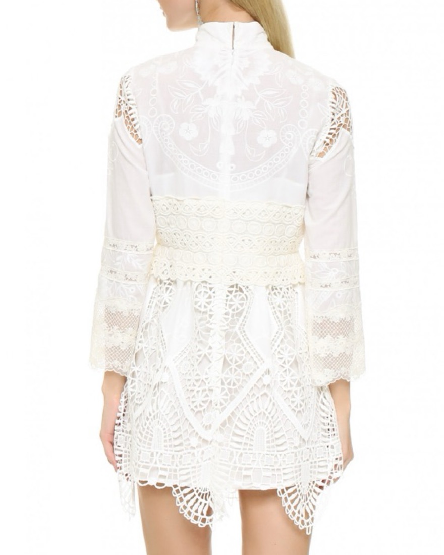 chinese dress ladies Anna Sui Victorian Lace Combo Drop Waist Dress