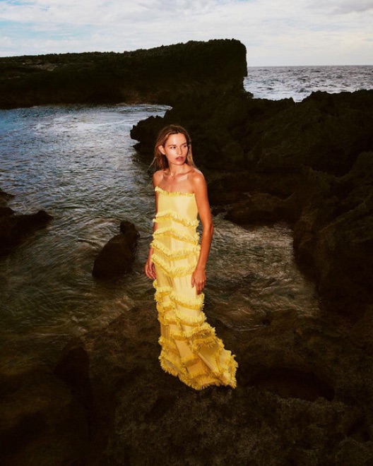 alexis reeve dress - Image 5