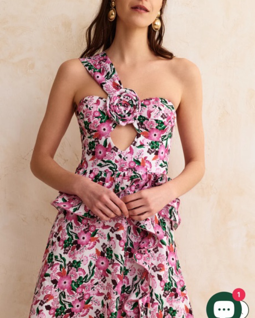 open lace back dress Exclusive Giglio Dress