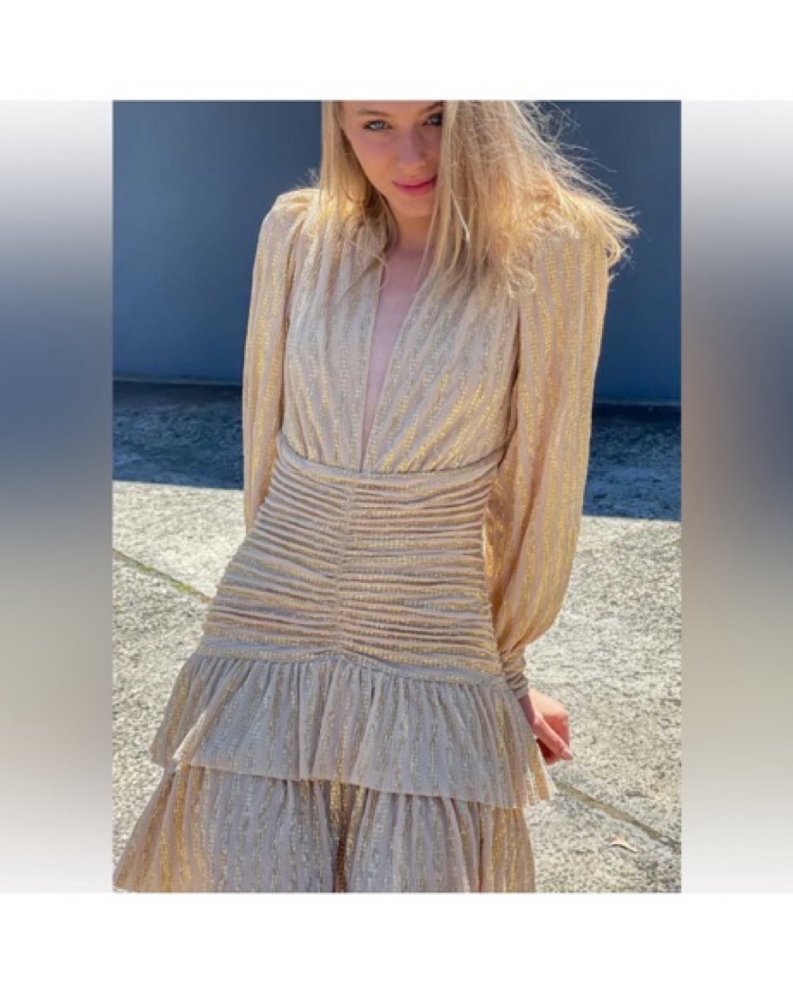 Sabina Musayev Butterfly Dress - Image 4