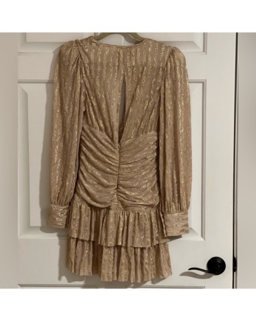 Sabina Musayev Butterfly Dress - Image 5