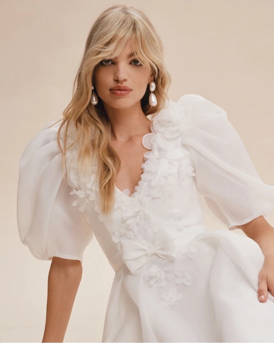 open lace back dress Bhldn Veronique