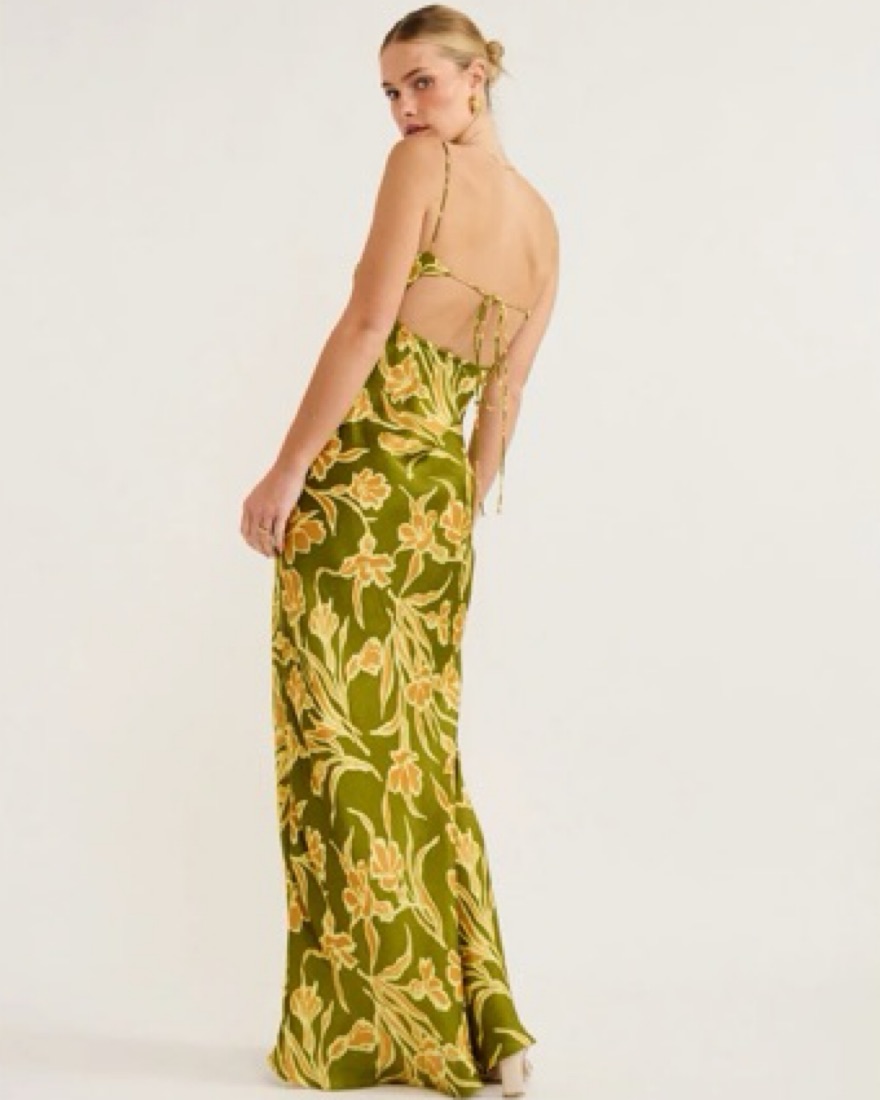 Faithfull the Brand Santiana Maxi Dress by Faithfull The Brand - Pickle