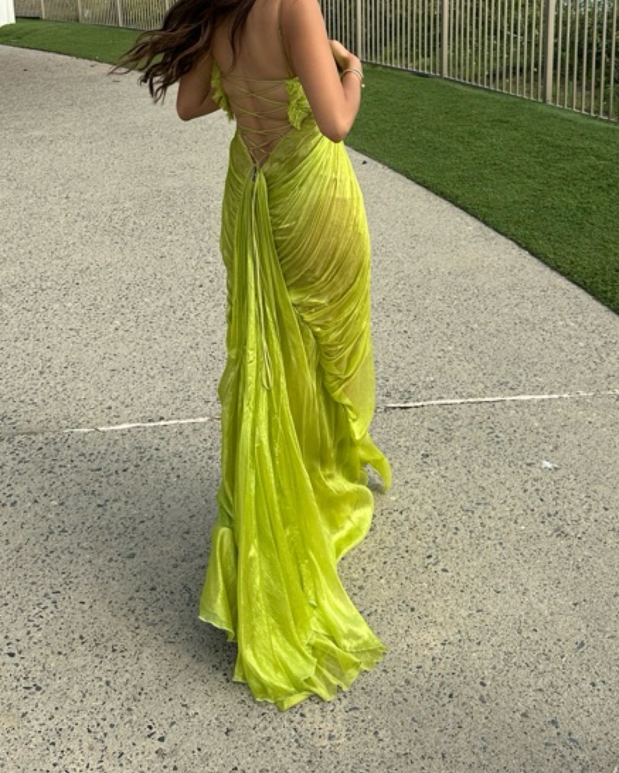 Maria Lucia Hohan Victoria Dress - Image 6