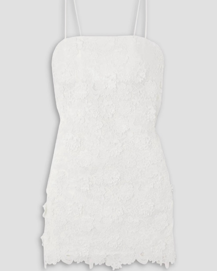 Zimmerman Raie guipure lace mini dress by Zimmermann - Pickle