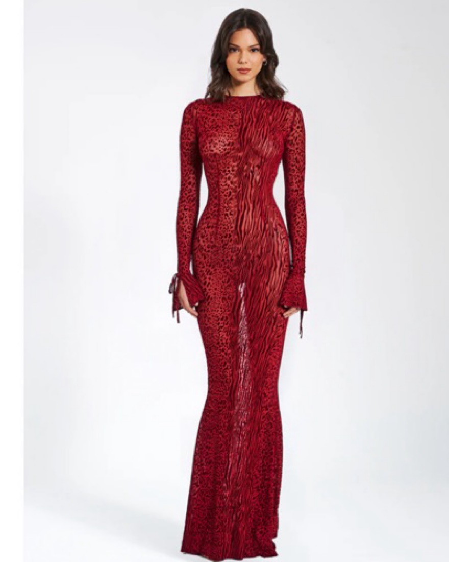 Burgundy Mesh Backless Maxi Dress by Miss Circle - Pickle