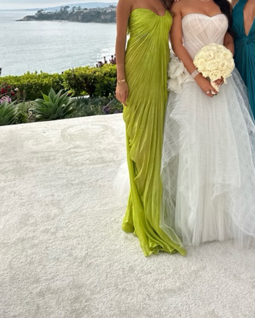 Maria Lucia Hohan Victoria Dress - Image 4