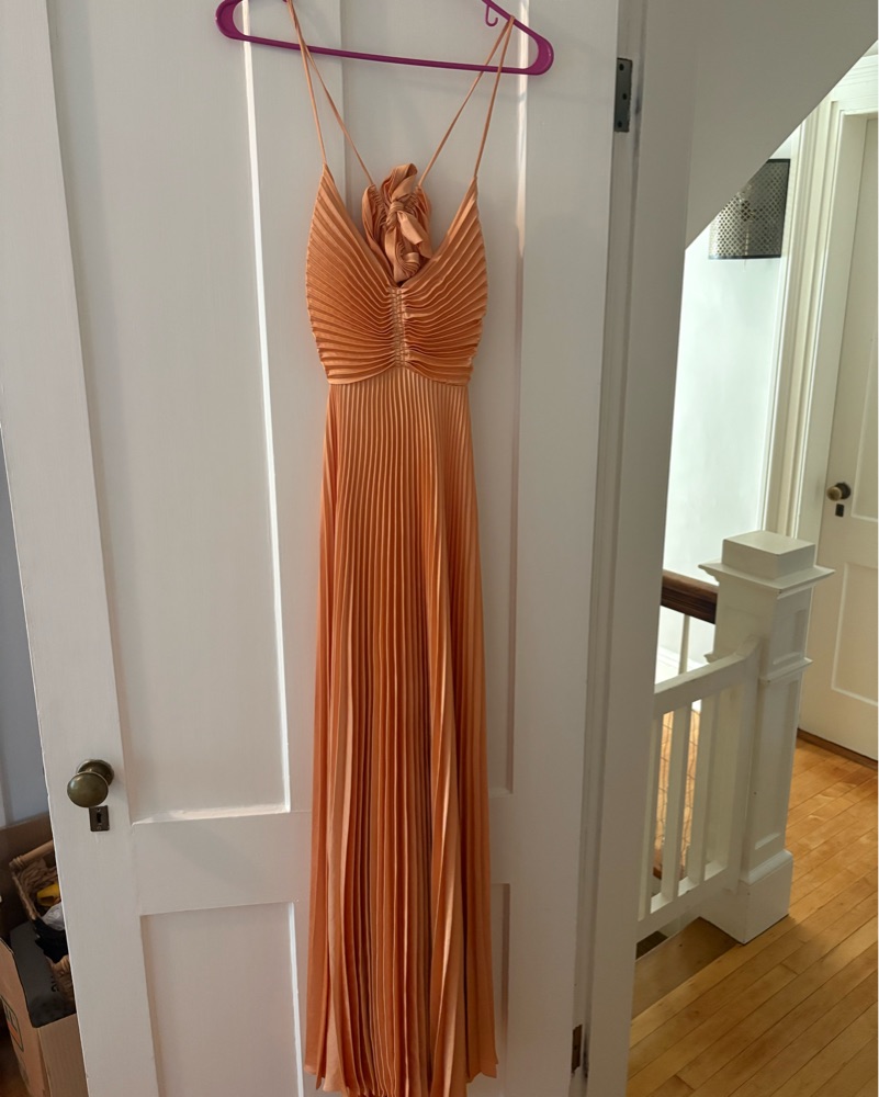 chinese dress ladies ALC Aries Satin Pleated Maxi Dress