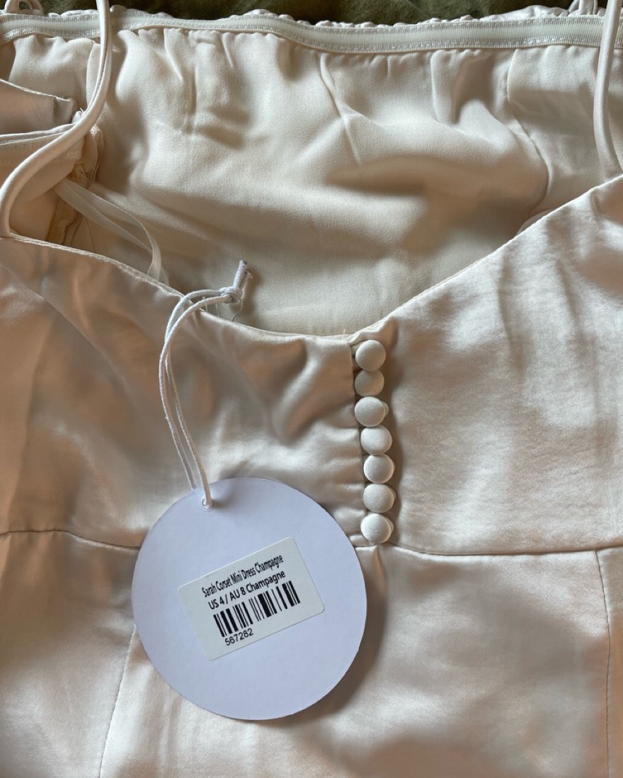 Champagne Mini Dress  - Image 5