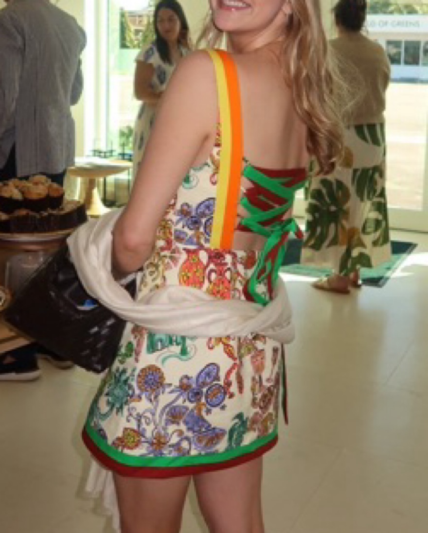 knee length dresses for ladies FIESTA APPLIQUE AND HAND EMBELLISHED MINI DRESS main image 0