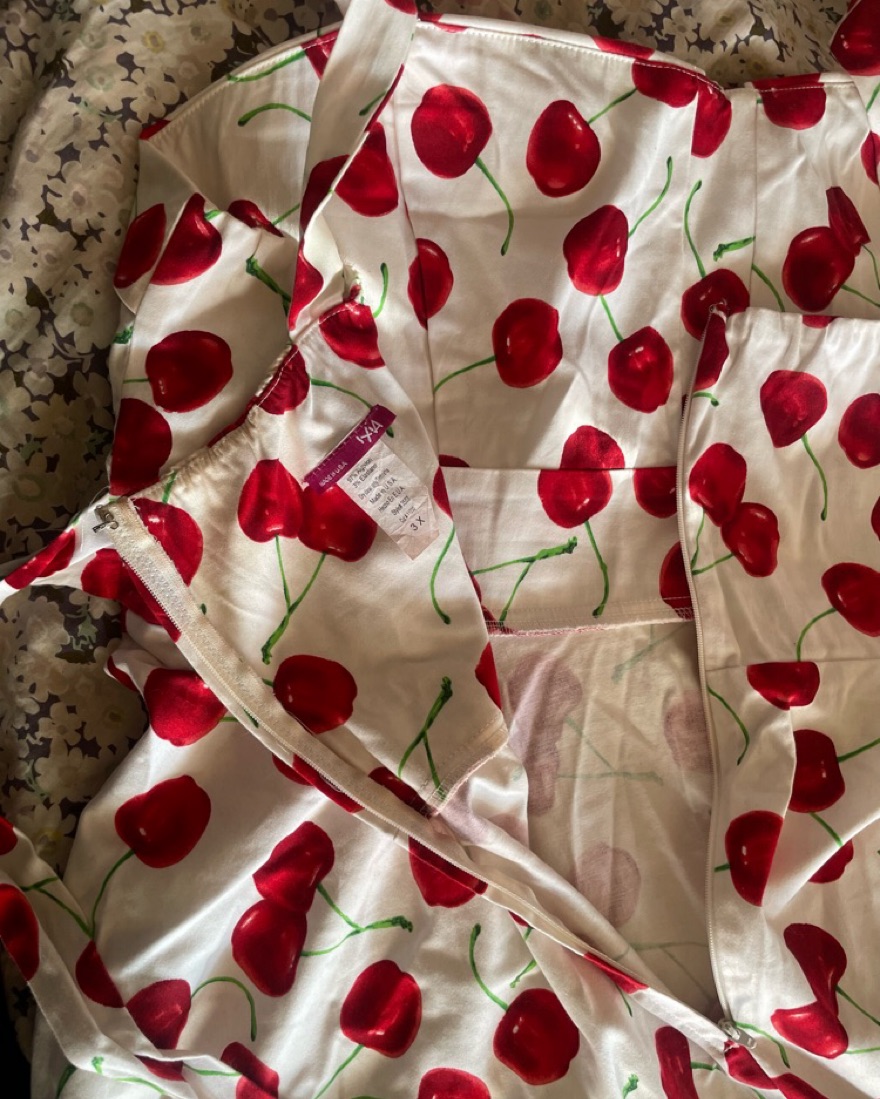 ixia cherry vintage retro dress size 3X - Image 3