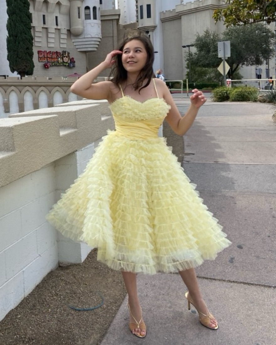 Cupcake Swing Dress - Image 3