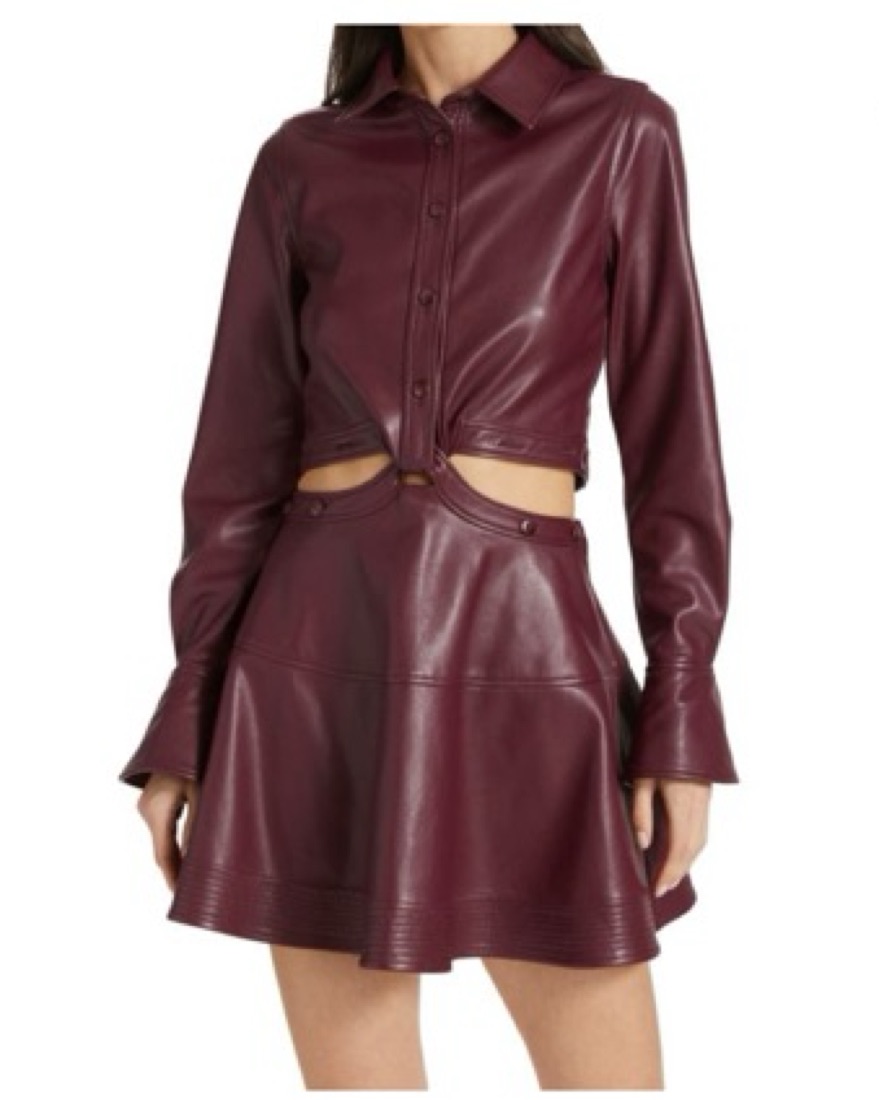 knee length dresses for ladies Ella Dress  Tanya Taylor
