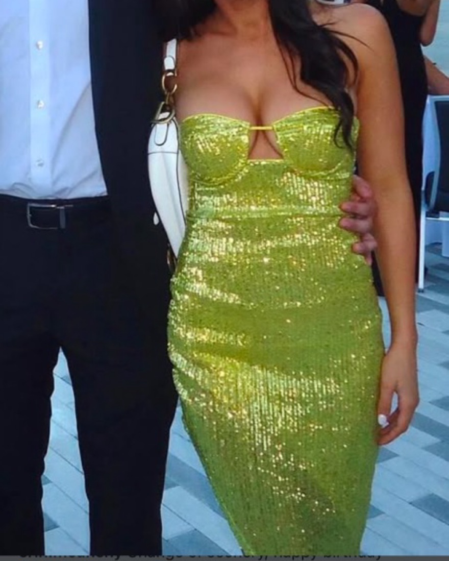 green emerald velvet dress Camila Coelho Coraline Dress in Green  BlackSkinny