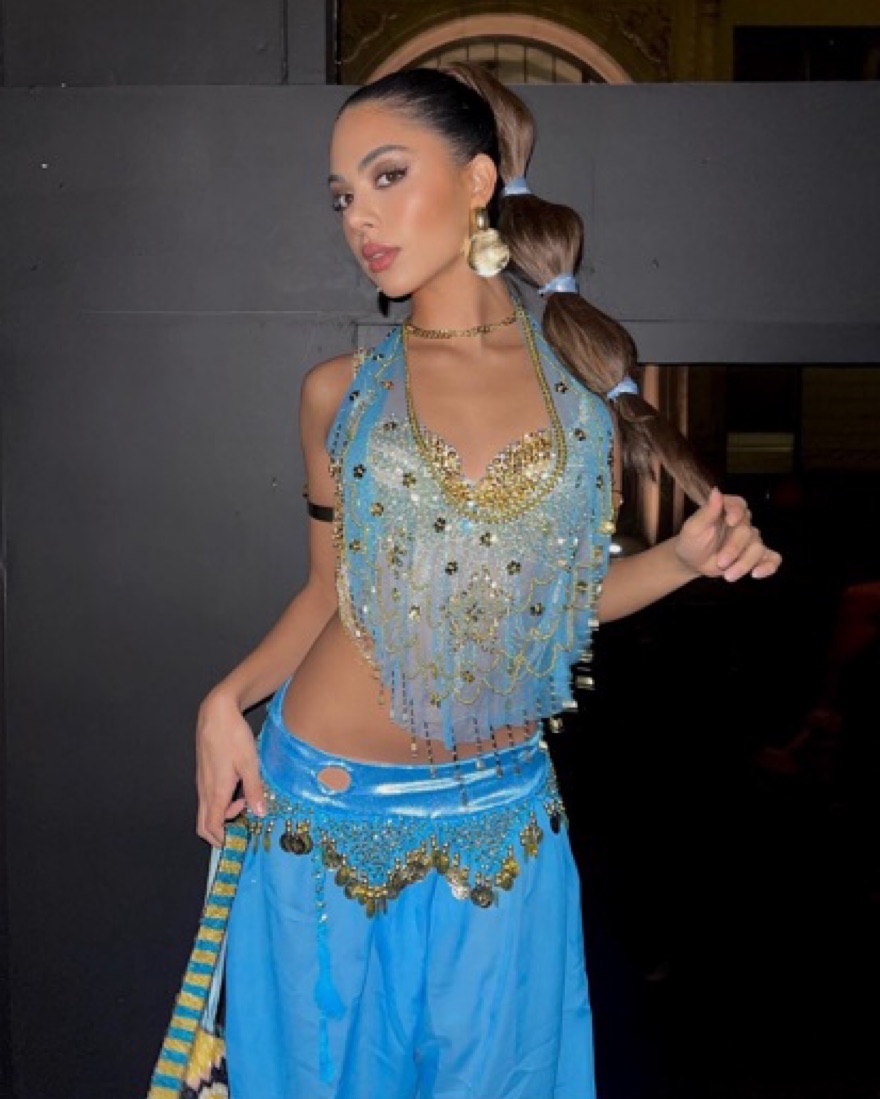 Jasmine costume  - Image 1