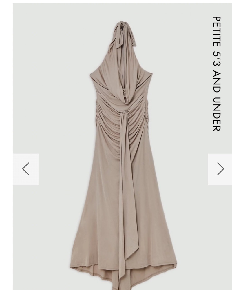 Petite Premium Viscose Jersey Crepe Cowl Neck Maxi Dress by Revolve - Pickle