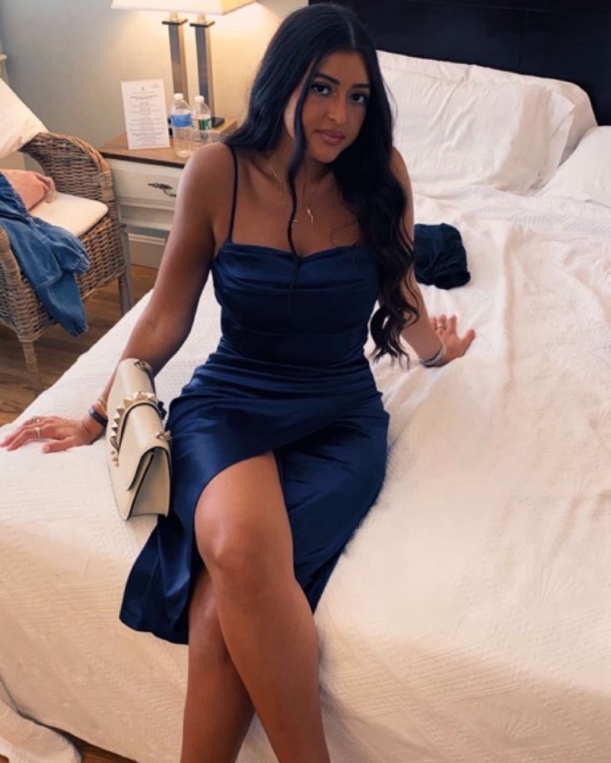 Windsor Navy Dress  - Image 1