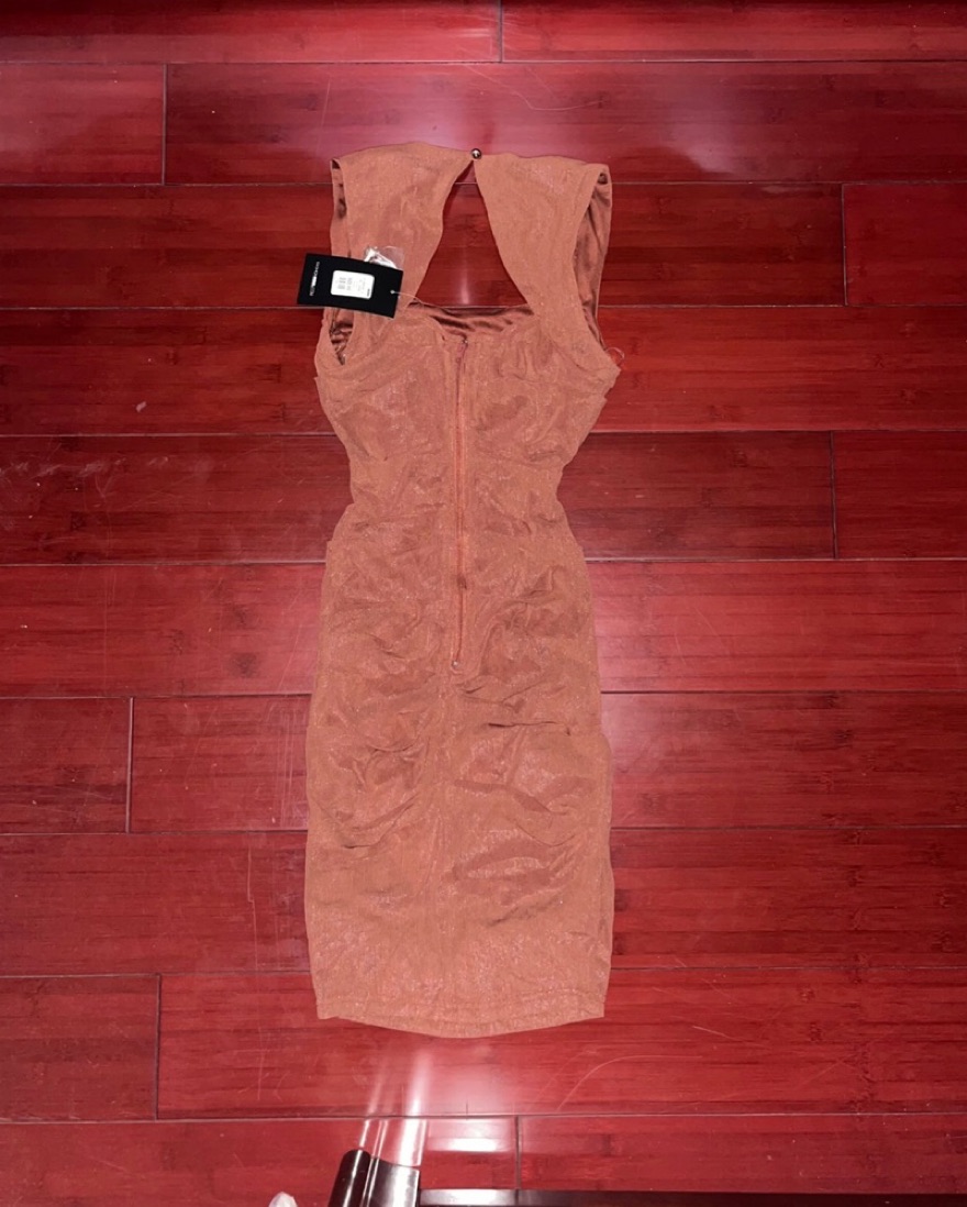 NWT All Meshed Up Dress in Marsala - XS - Image 3