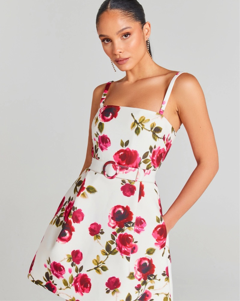 shoshanna floral mini dress Cicelia Floral Printed Mini Dress 2 / Rose/Ivory Multi