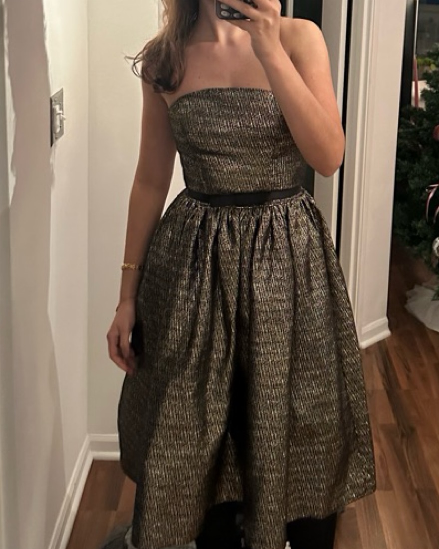 Milly Strapless Silver & Gold Dress by Milly - Pickle