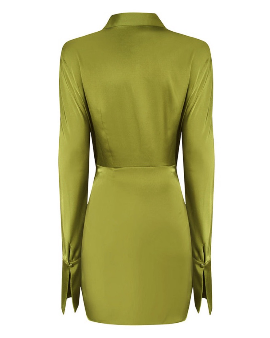 green emerald velvet dress Roxana Dress Green Guipure