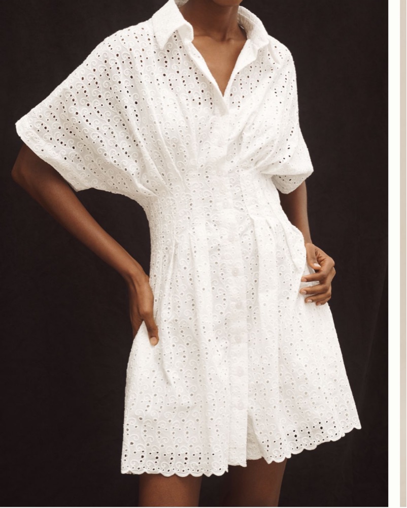 Anthropologie Tobie Lace Mini Dress by Anthropologie - Pickle