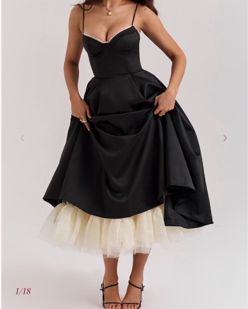 knee length dresses for ladies Rosee de Matin Tulle High-Neck Semi Sheer Dress in Black main image 1