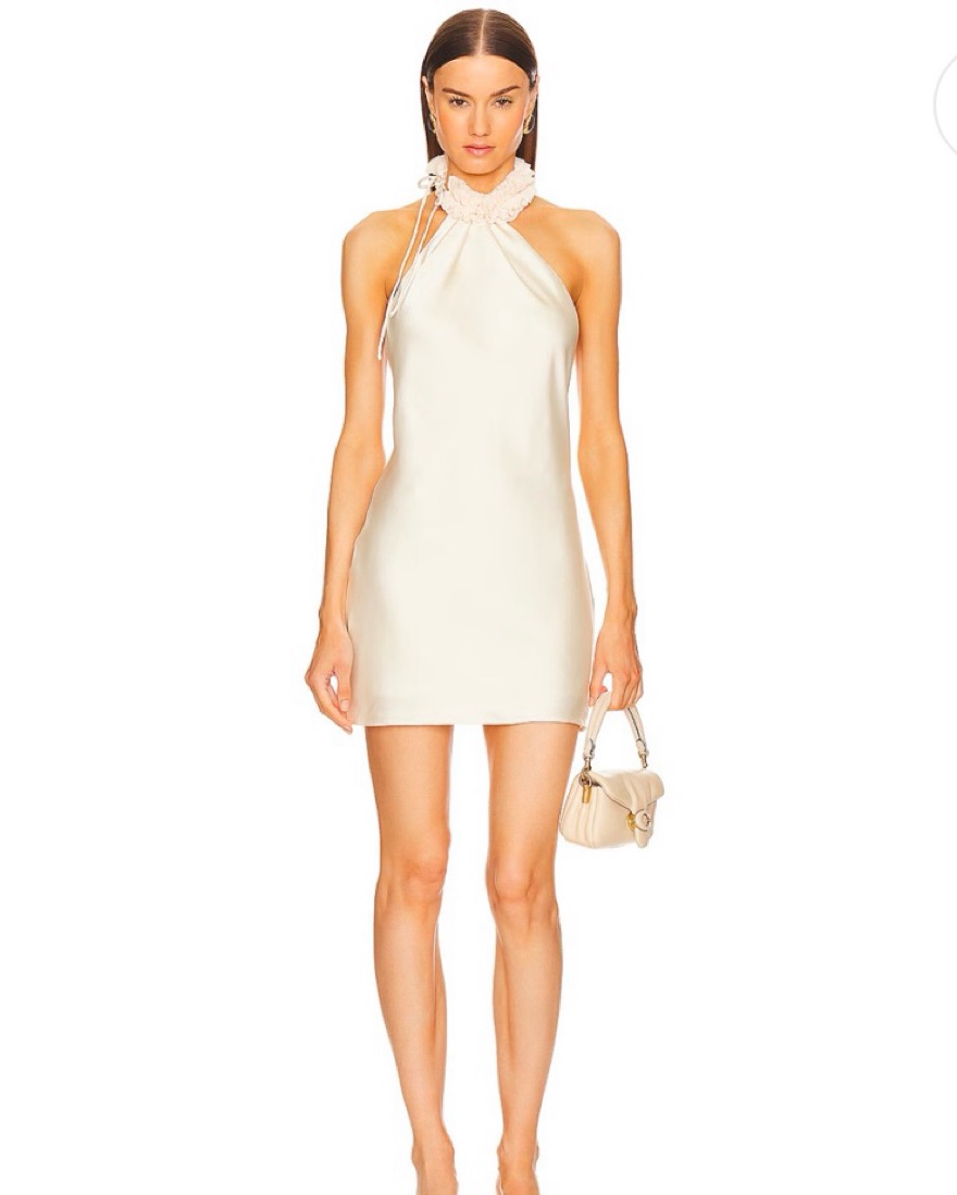 akira nini knit halter mini dress HALTERNECK MESH LITTLE BLACK MINI DRESS – AKIRA