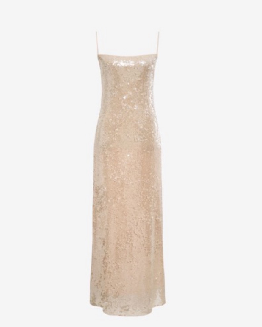 Rumored Sequin Maxi Dress by Shop Rumored - Pickle