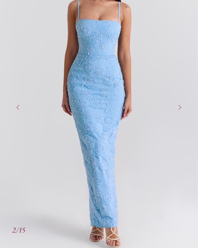 Embroidered Floral Maxi Dress by House of CB - Pickle