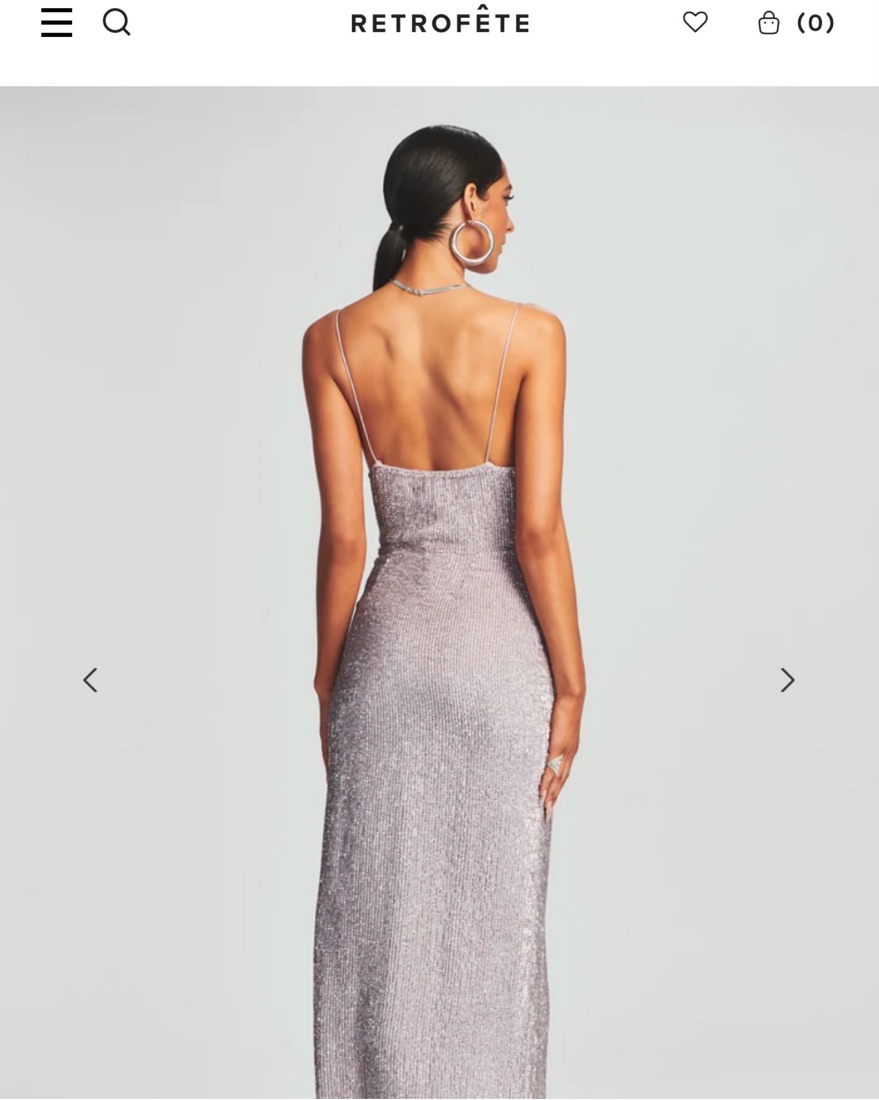 Retrofete Katya Silver Dress  - Image 2