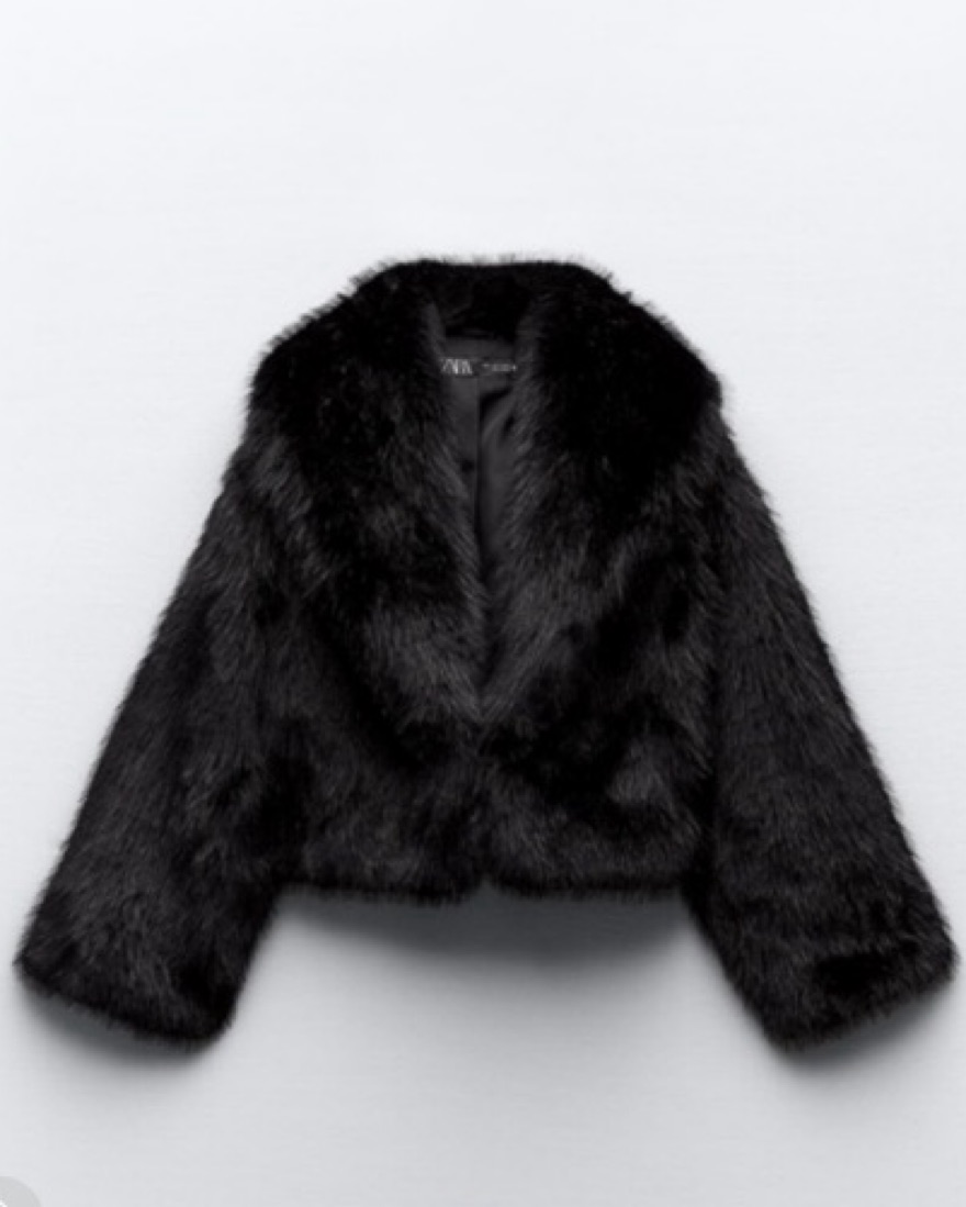 Zara Fur Coat - Image 1