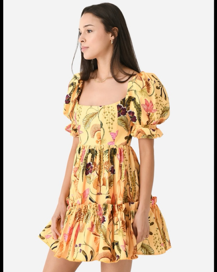 Agua By Agua Bendita Embroidered Mini Dress by Agua by Agua Bendita - Pickle