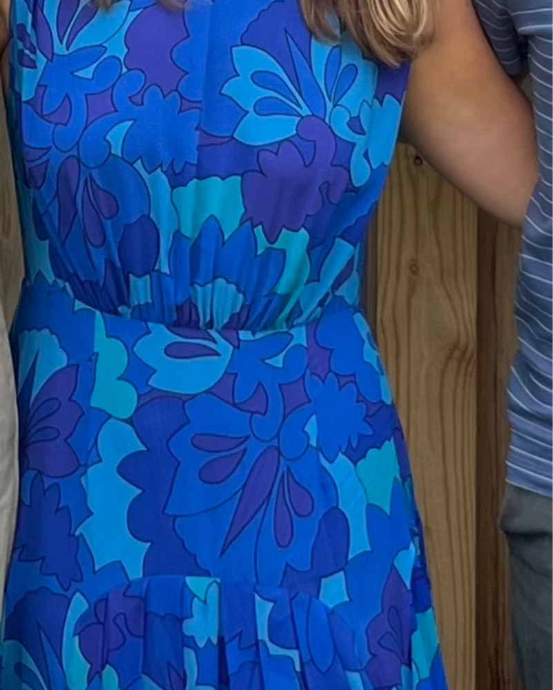 strapless open back dress Royal Blue and Orange Wedding Flowers /  Budget-Bride