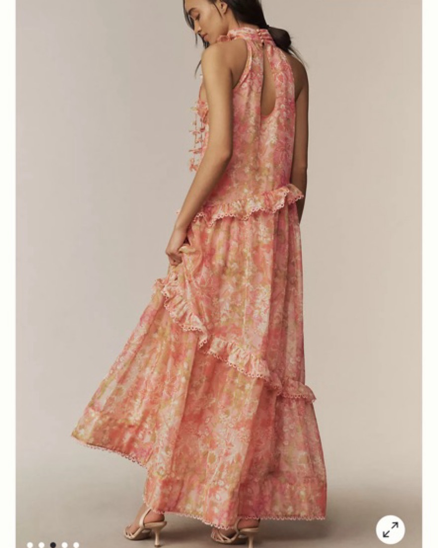 open lace back dress Estella Organza Maxi Dress by Hale Bob – Jilli Boutique main image 1
