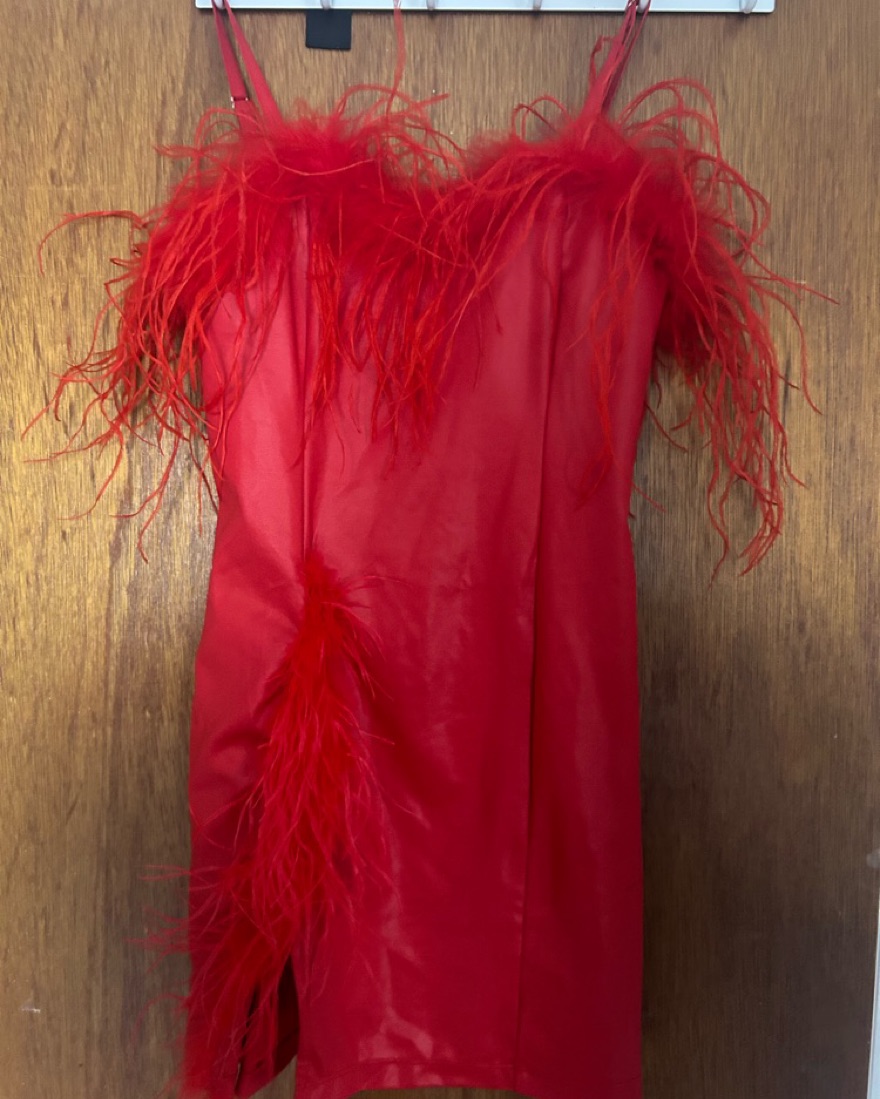 popa mini dress Celia B Popa Dress