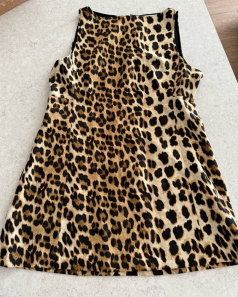 Chic Leopard Print Mini Dress by Zara - Pickle