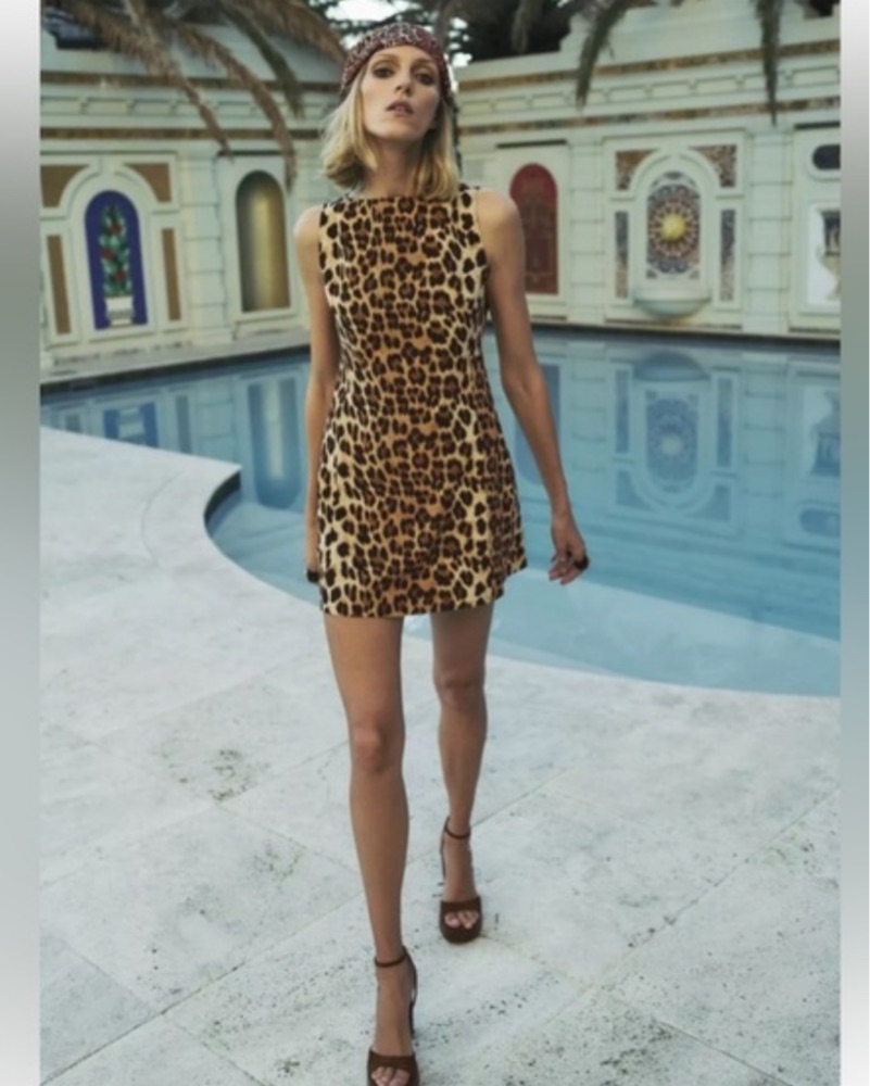 Chic Leopard Print Mini Dress by Zara - Pickle