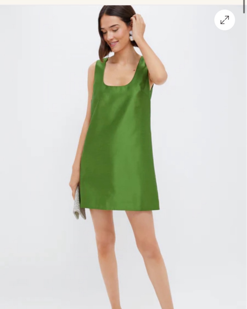 green emerald velvet dress Dark Hunter Green Leather Manon Dress main image 1