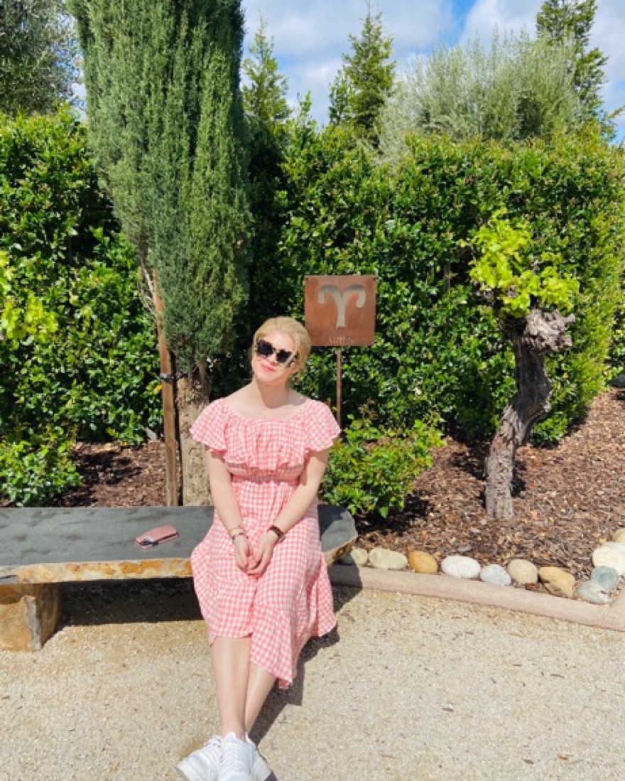 Pink Plaid Dress by Boutique - Pickle